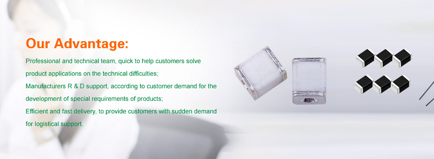 Chip Capacitor